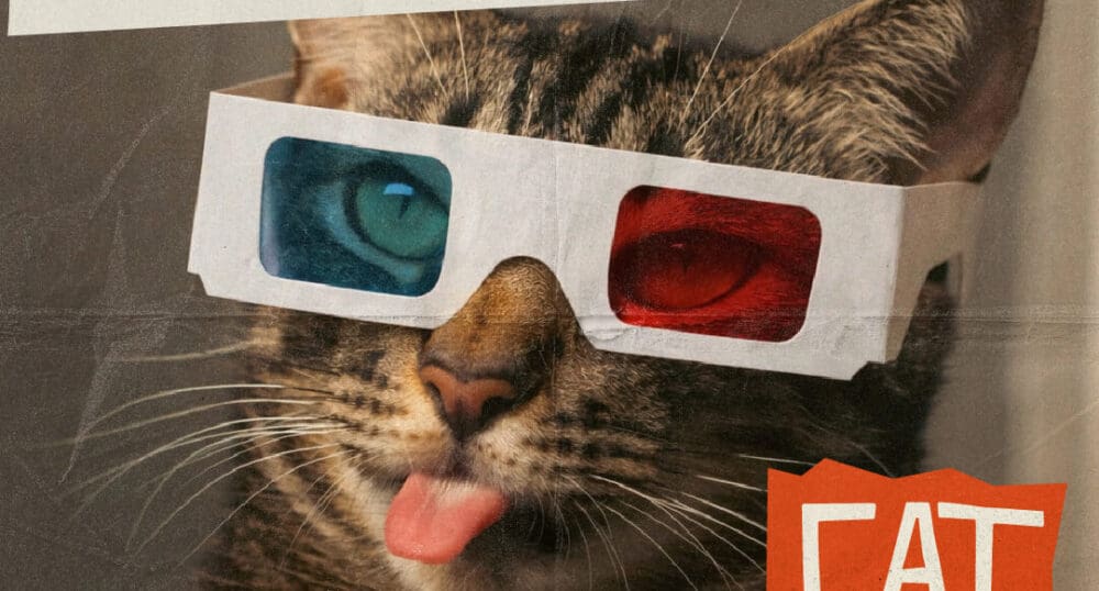 CAPFILM: CAT VIDEO FEST 2026