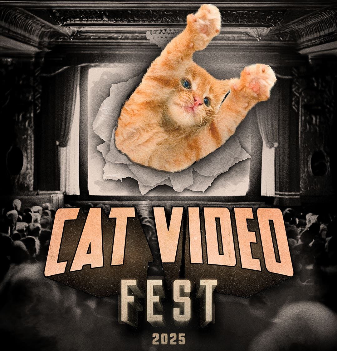 poster for Cat Video Fest 2025 with orange tabby flying out of a movie screen illustration