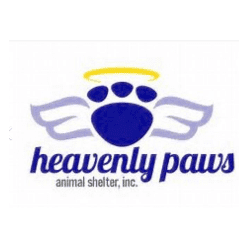 Heavenly Paws logo with angel wings against a cat paw and a halo on top