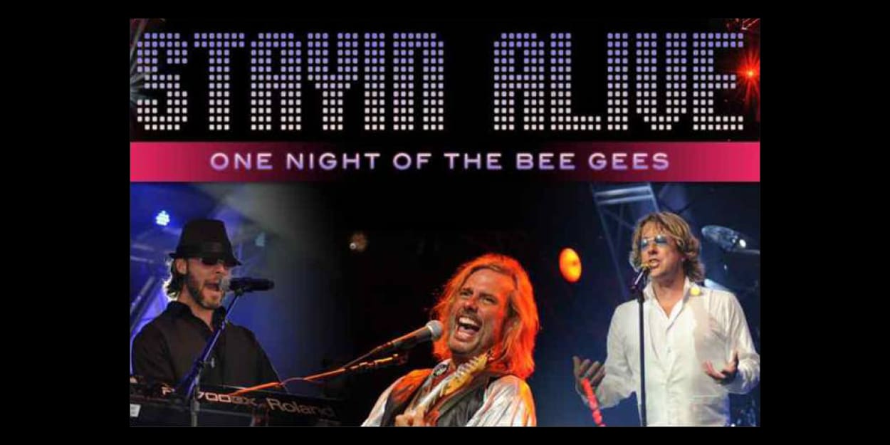 title plus 3 musicians that are the Bee Gees Tribute