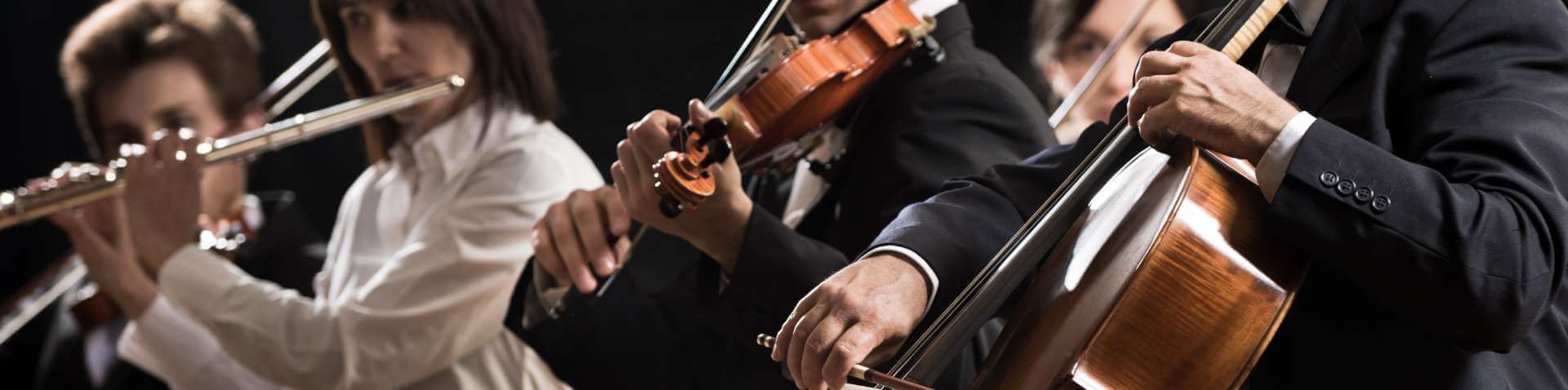 Musicians of the York Symphony Orchestra play their instruments, including a cello, violin and flute.