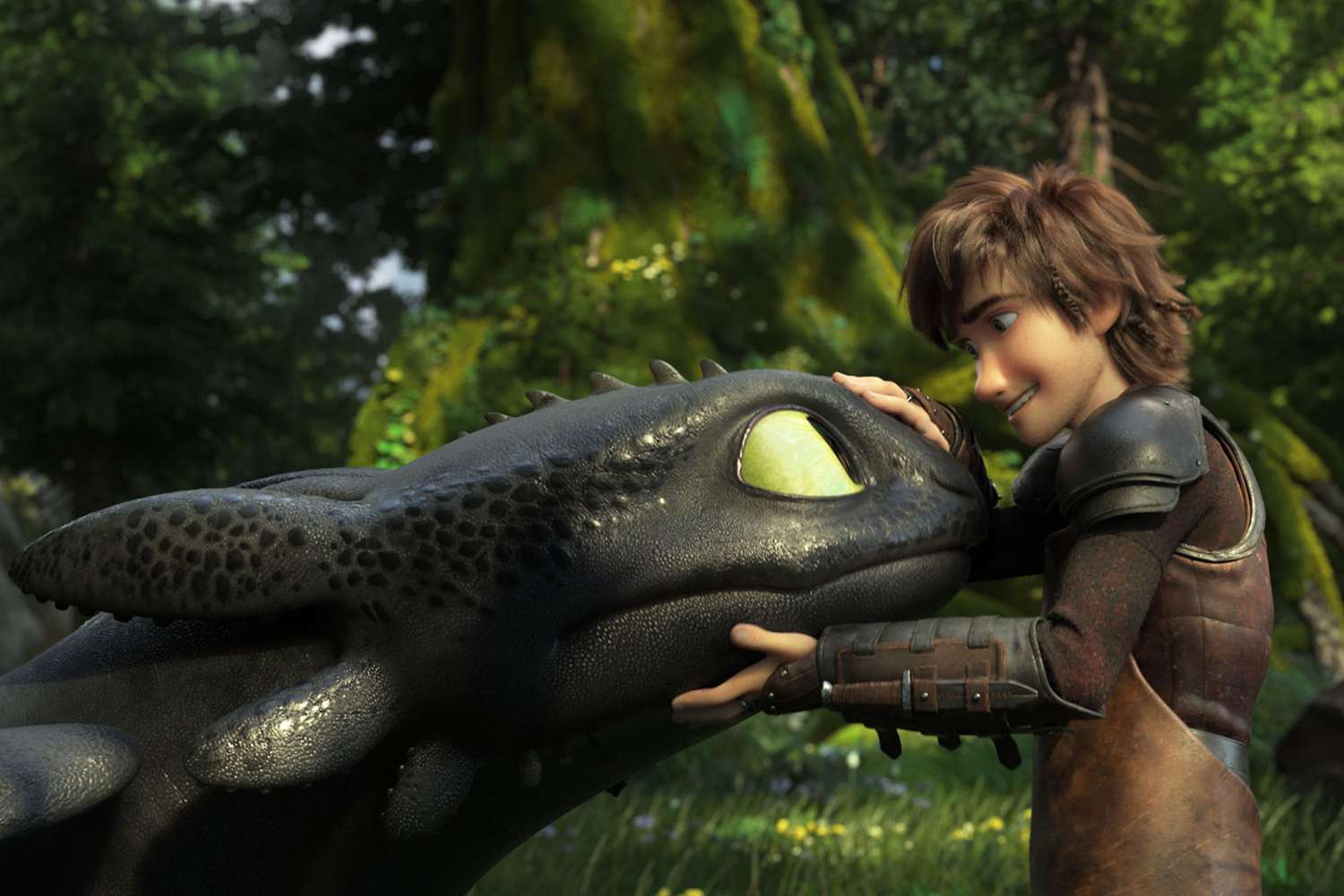 scene from How to Train Your Dragon